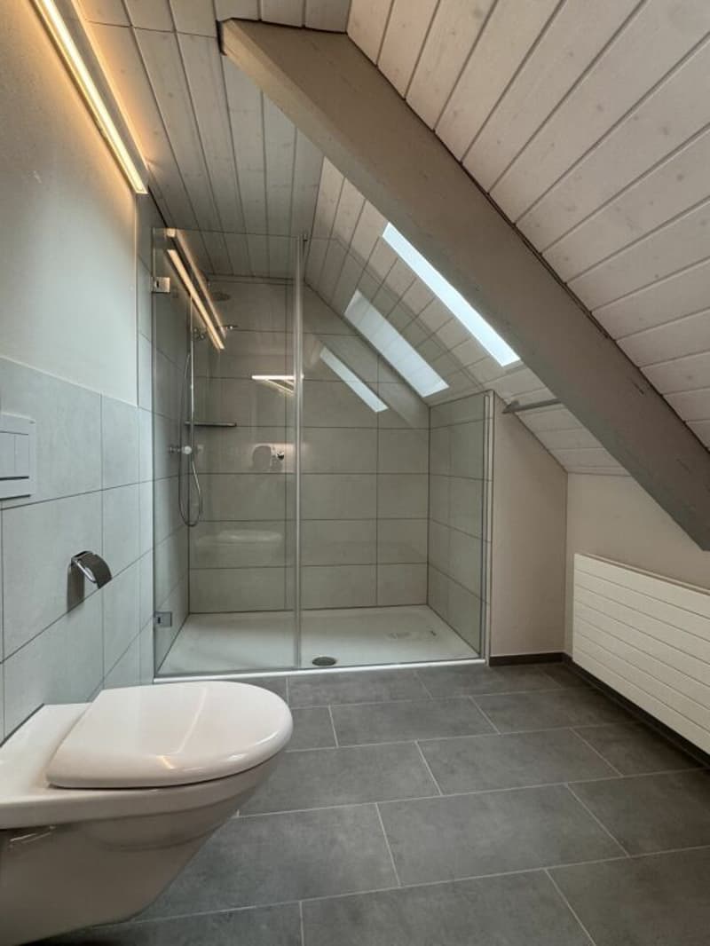 Appartement spacieux de vieux bâtiment avec jardin dans la vieille ville de Weinfelden (11)