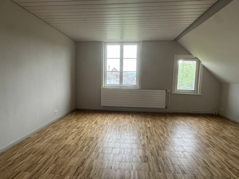 Appartement spacieux de vieux bâtiment avec jardin dans la vieille ville de Weinfelden (7)