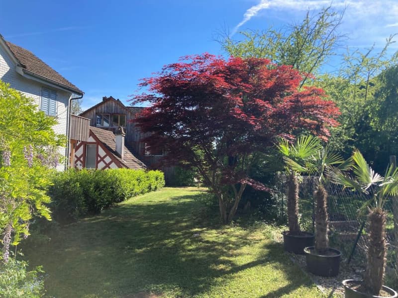 Appartement spacieux de vieux bâtiment avec jardin dans la vieille ville de Weinfelden (12)