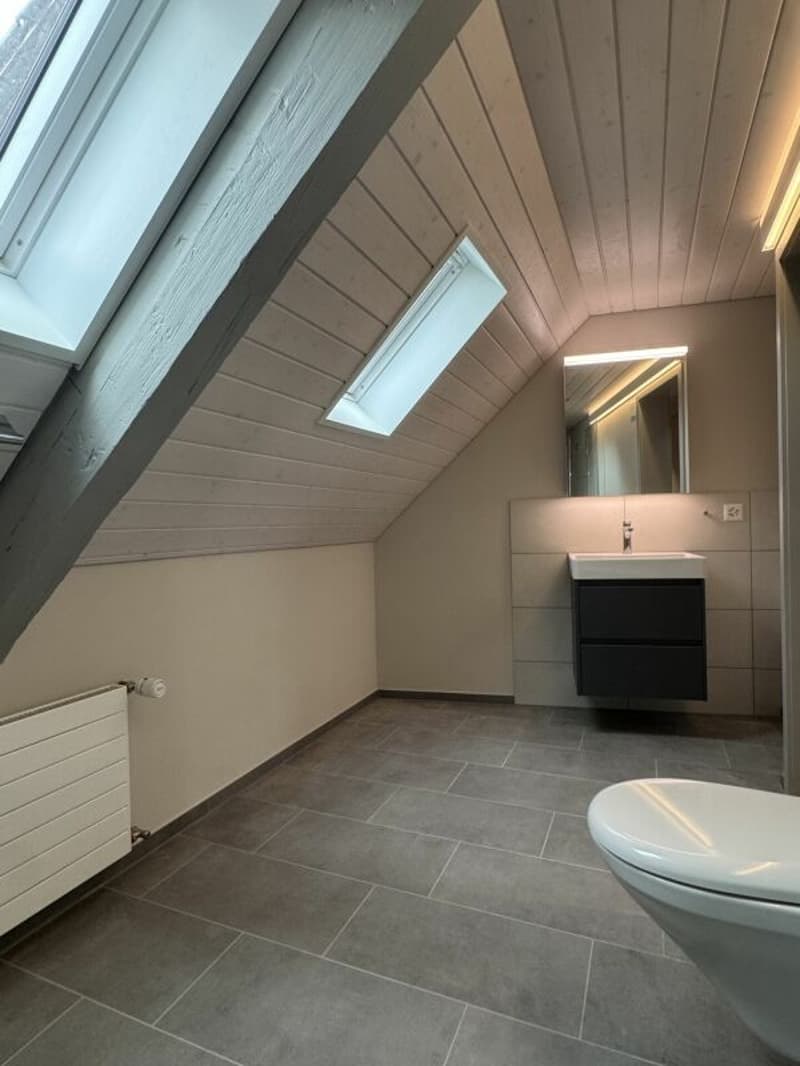 Appartement spacieux de vieux bâtiment avec jardin dans la vieille ville de Weinfelden (9)