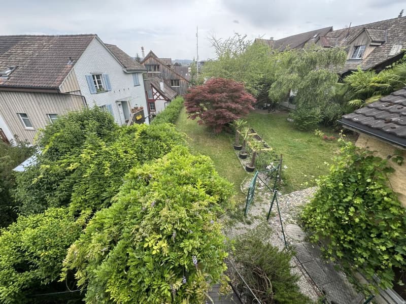 Appartement spacieux de vieux bâtiment avec jardin dans la vieille ville de Weinfelden (13)