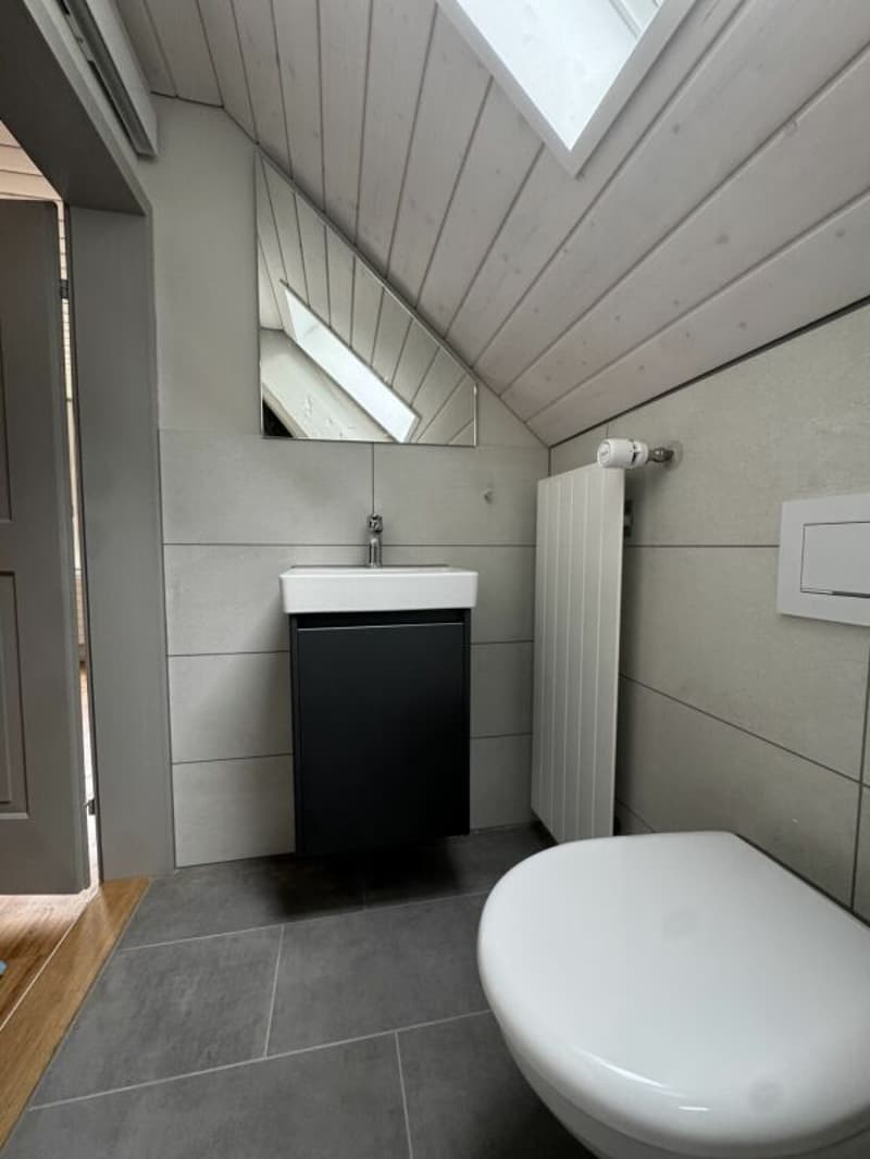 Appartement spacieux de vieux bâtiment avec jardin dans la vieille ville de Weinfelden (10)