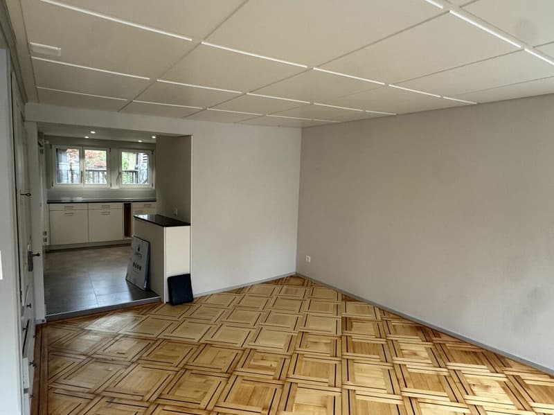 Appartement spacieux de vieux bâtiment avec jardin dans la vieille ville de Weinfelden (3)