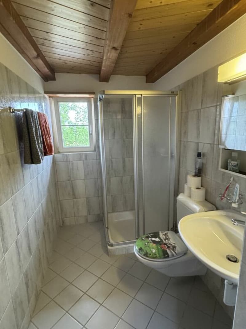 3.5 Zimmer - Wohnung im 1. OG (6)