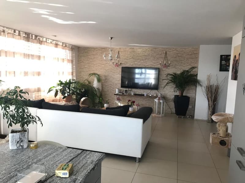 Ansprechende 4.5 Zimmer Wohnung im 1. OG Kopie (3)