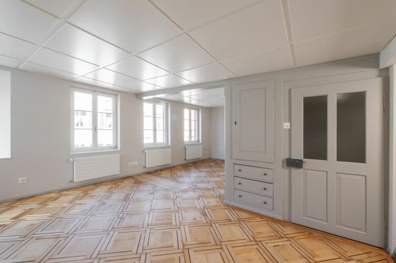 Maison spacieuse du vieux quartier avec jardin dans le vieux Weinfelden (4)