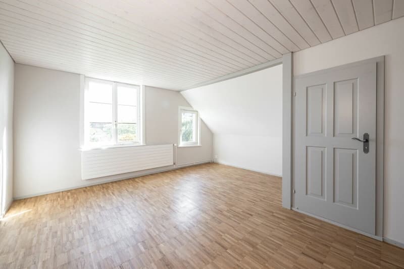 Maison spacieuse du vieux quartier avec jardin dans le vieux Weinfelden (7)