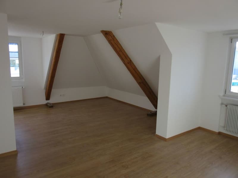 3.5 Zimmer - Wohnung (1)