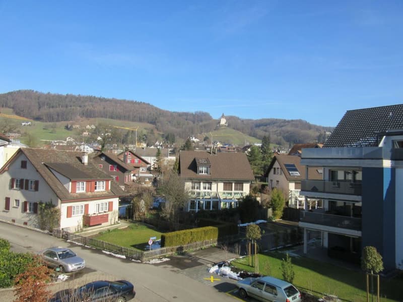 3.5 Zimmer - Wohnung (8)