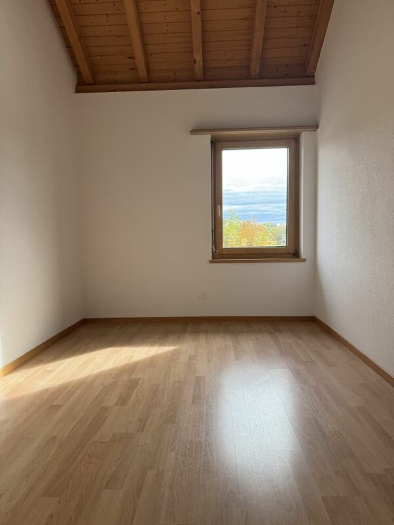 Grosszügige 5.5 Zi.- Maisonettewohnung, ca. 150m2 (5)