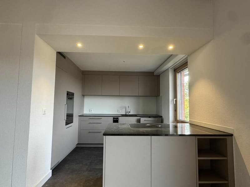Grosszügige 5.5 Zi.- Maisonettewohnung, ca. 150m2 (15)
