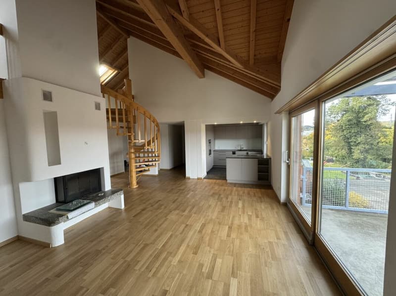 Grosszügige 5.5 Zi.- Maisonettewohnung, ca. 150m2 (1)