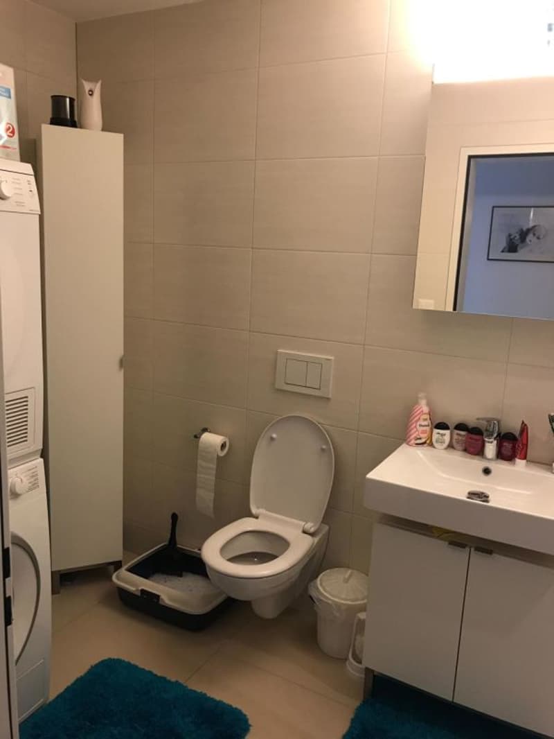 Ansprechende 4.5 Zimmer Wohnung im 1. OG (7)