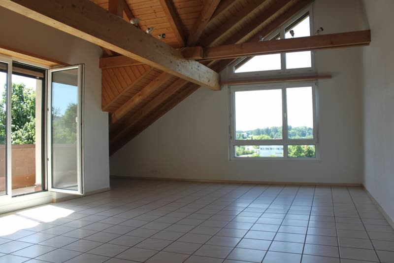 3.5 Zimmer - Dachwohnung (2)