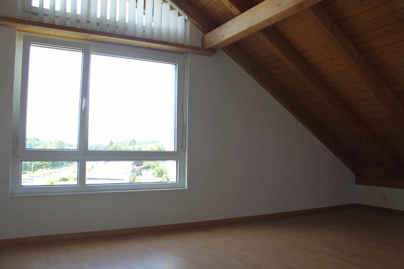 3.5 Zimmer - Dachwohnung (5)