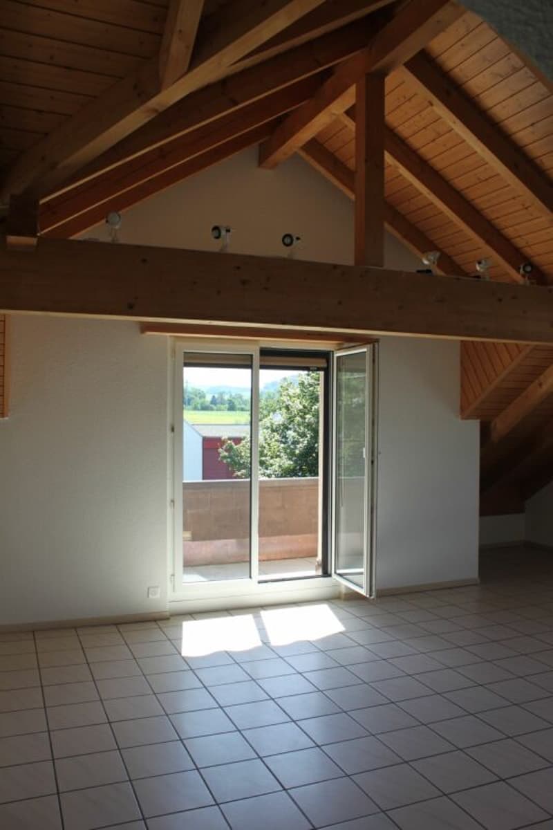 3.5 Zimmer - Dachwohnung (3)