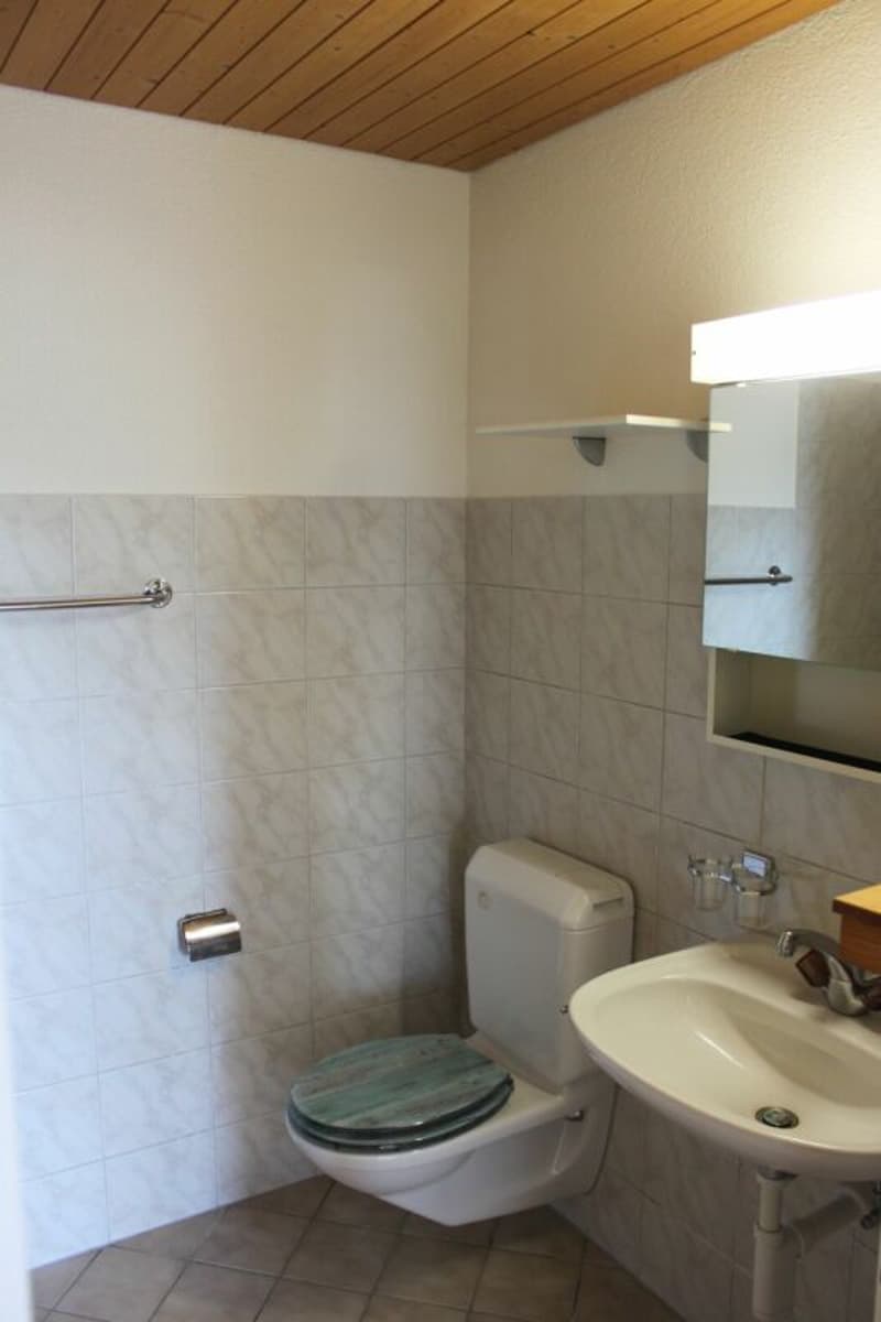3.5 Zimmer - Dachwohnung (8)