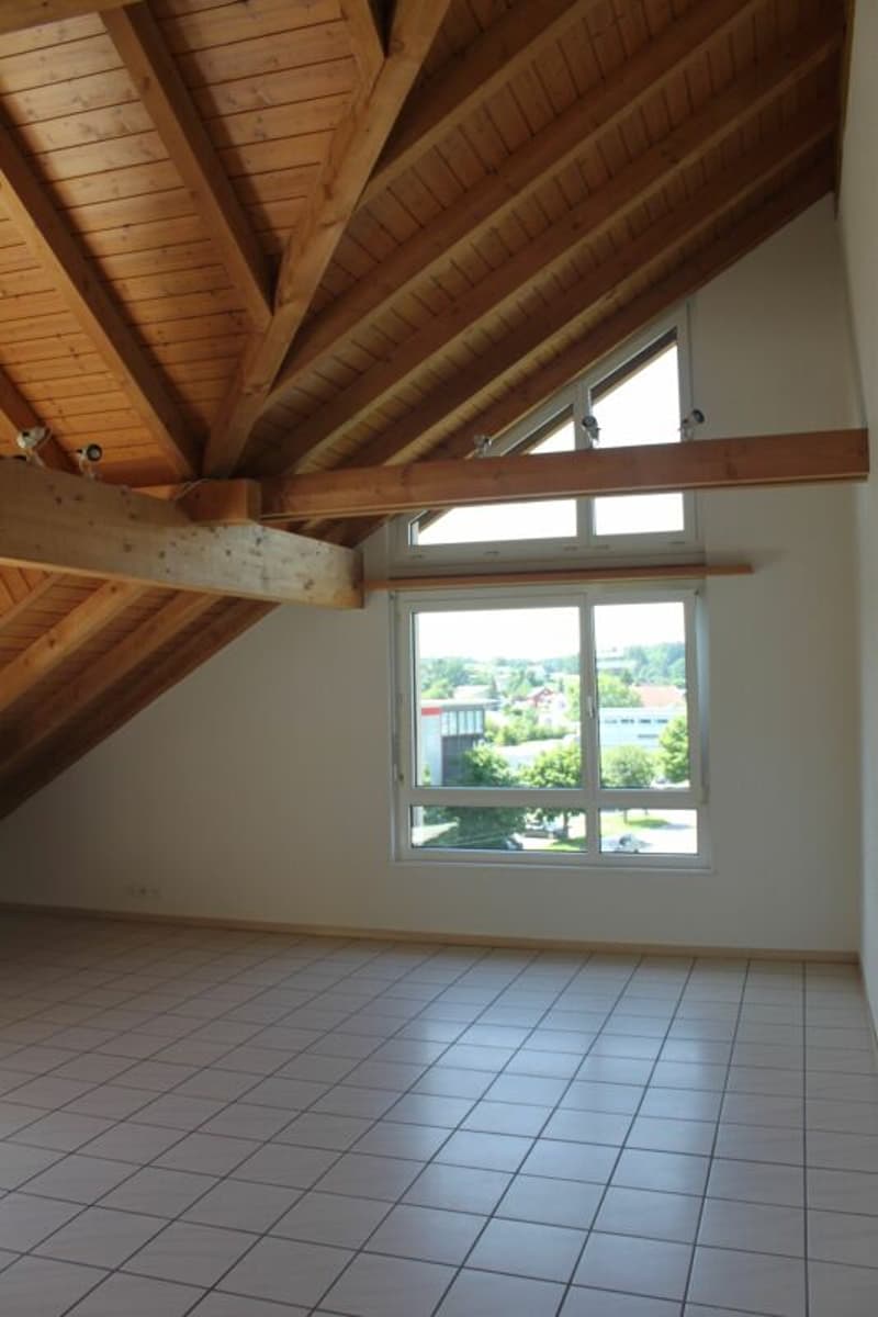 3.5 Zimmer - Dachwohnung (6)