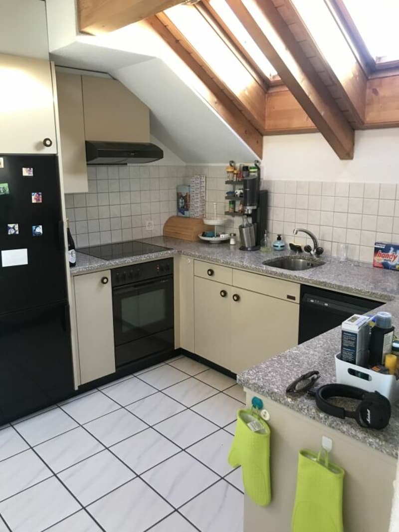3.5 Zimmer - Dachwohnung (4)