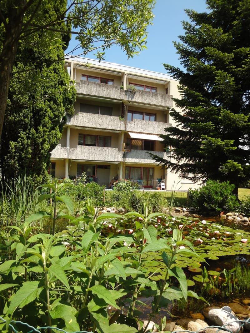 4-story apartment building with balconies, surrounded by lush greenery and a pond with water plants