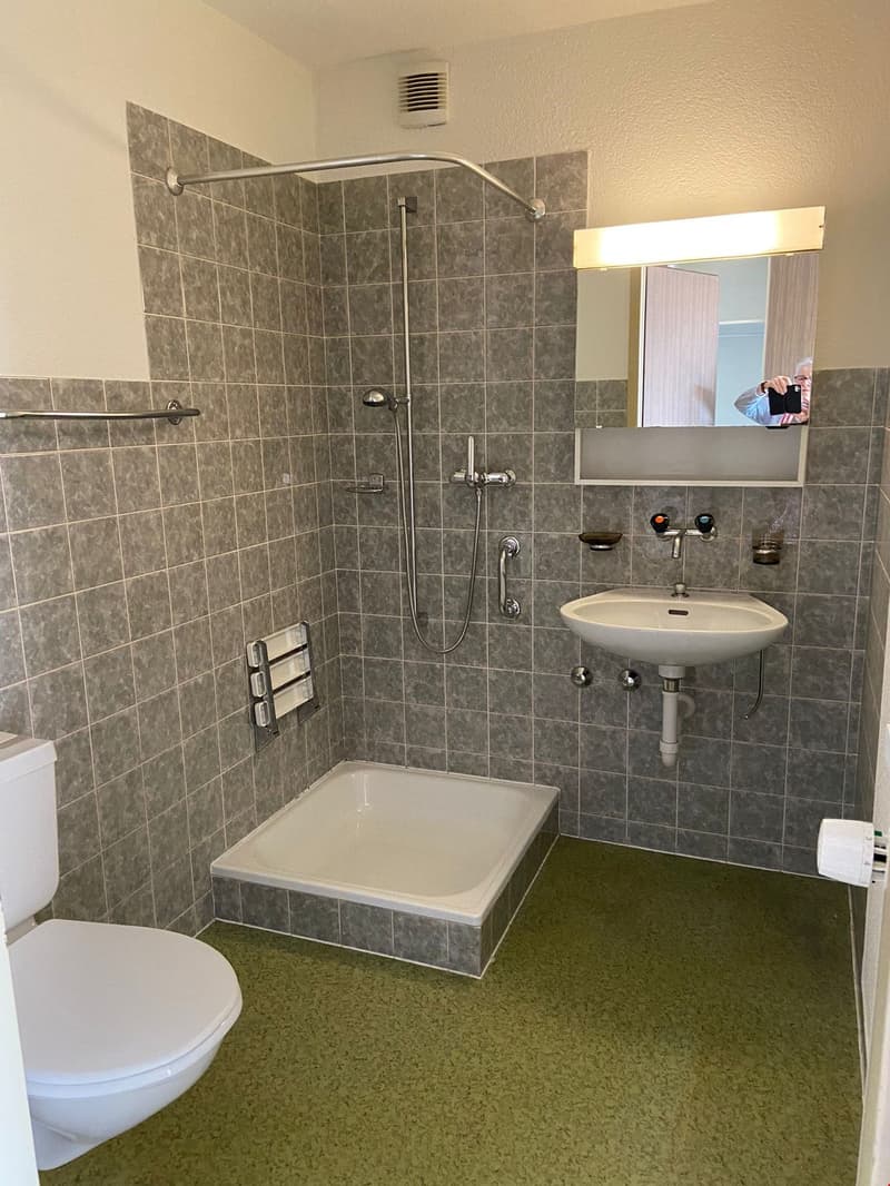 Bathroom with gray tile walls, shower with glass enclosure, sink, and toilet. The floor is covered in green carpeting.