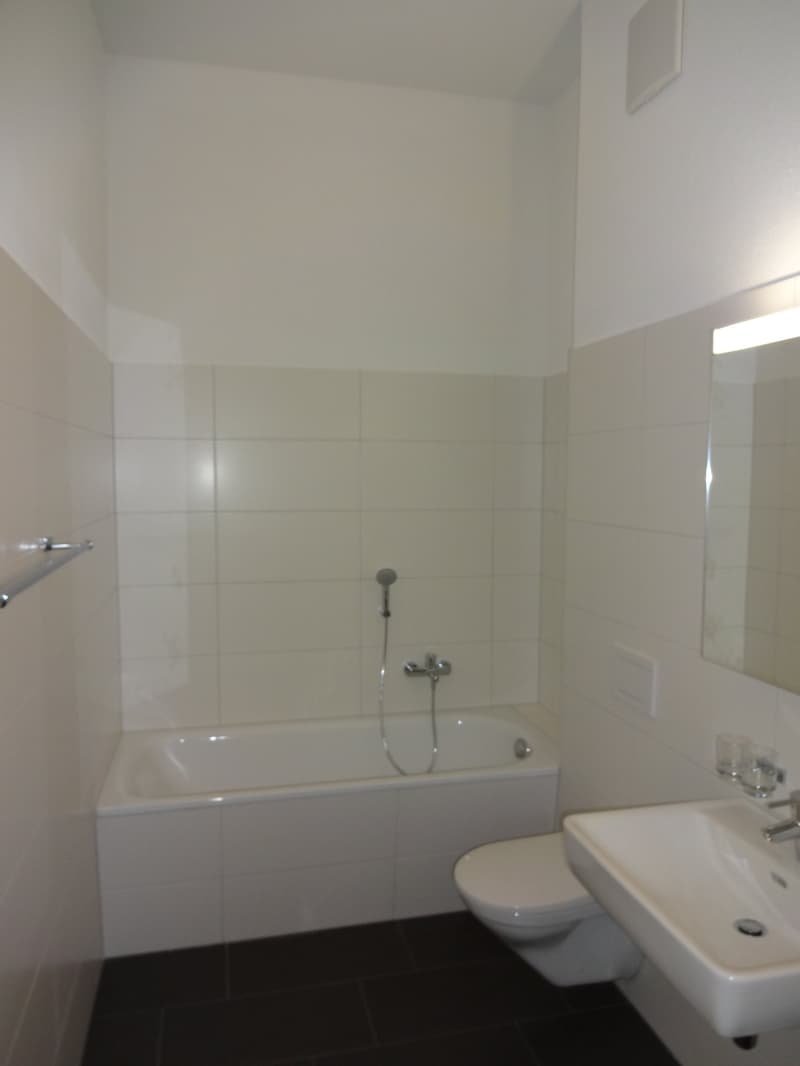 2.5-Zi. Wohnung mit grossem Balkon (5)