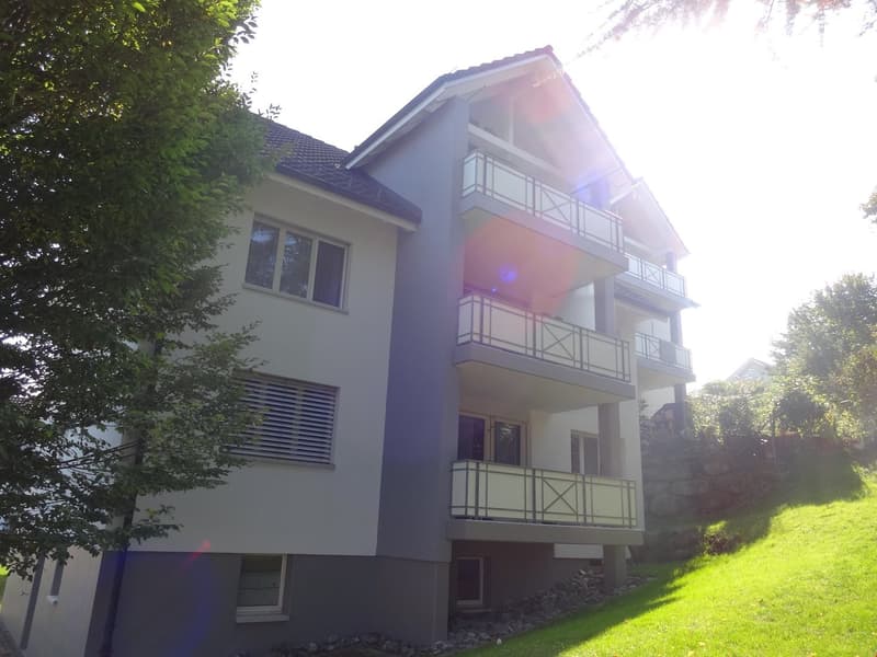lässige 3.5-Zi. Erdgeschoss-Wohnung mit Balkon (1)