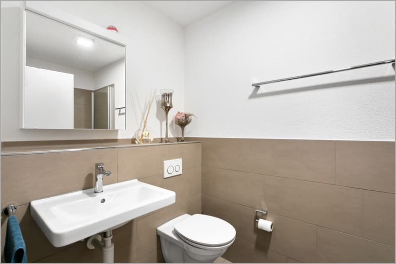 4.5 ZW Stapfenwis Rheineck