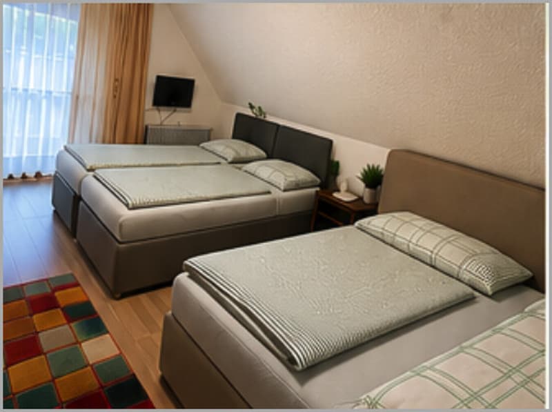 1 Zimmer Schönwald