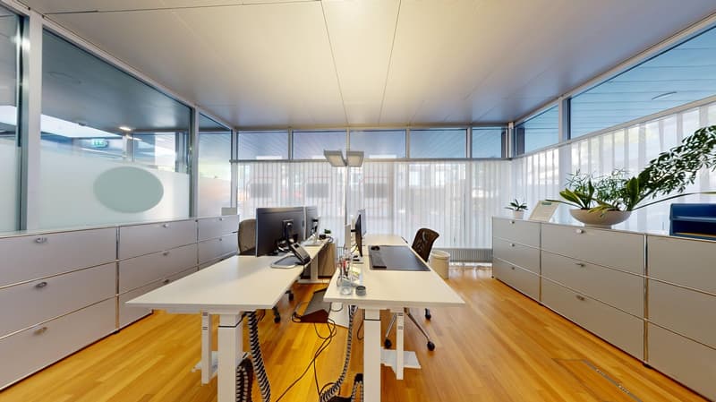 Minimalist office room with white desk and computer monitors, adjustable chairs, office storage units, large glass windows with sun shades, wooden floor, plants on top of cabinets