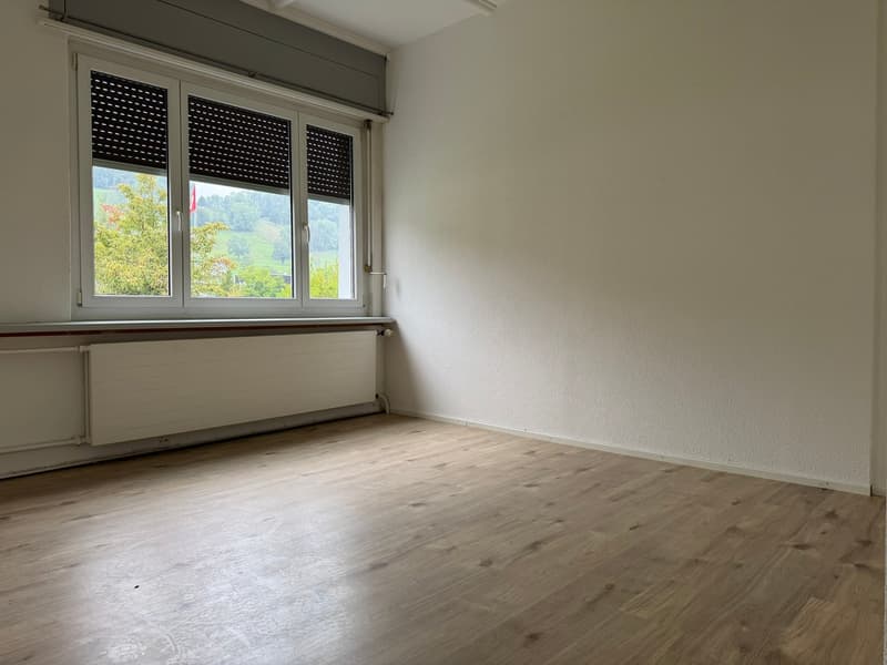 Empty room, white walls, wooden floor, windows with shutters, central heating