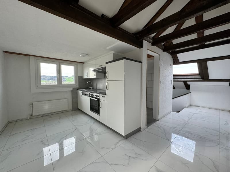 white modern kitchen, granite countertop, stainless steel appliances, radiator, wooden beams