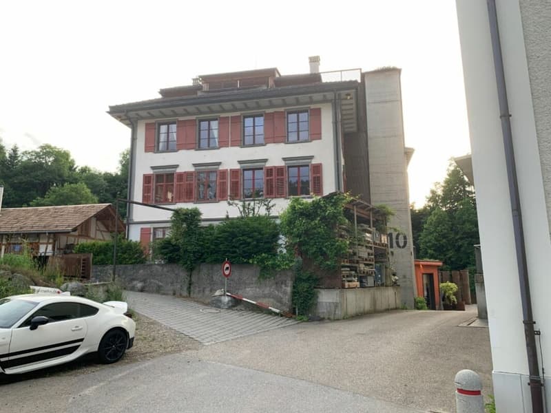 Jewel - 6.5 room apartment, fully renovated with 200m2 roof terrace (13)