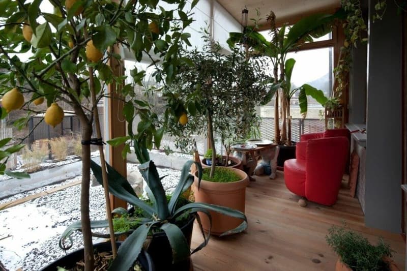 Jewel - 6.5 room apartment, fully renovated with 200m2 roof terrace (9)