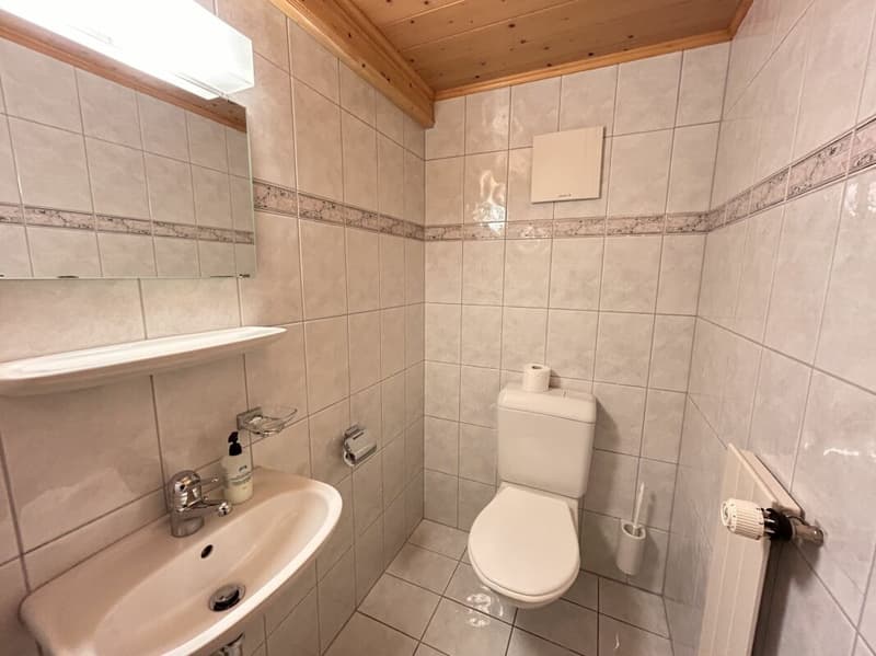 Central semi-detached corner house with a large plot of land for expansion (12)
