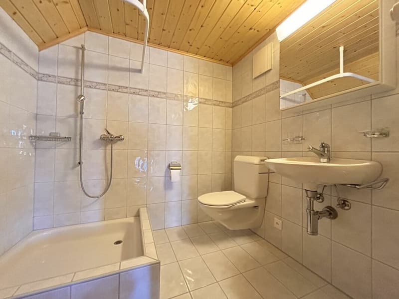 Central semi-detached corner house with a large plot of land for expansion (11)