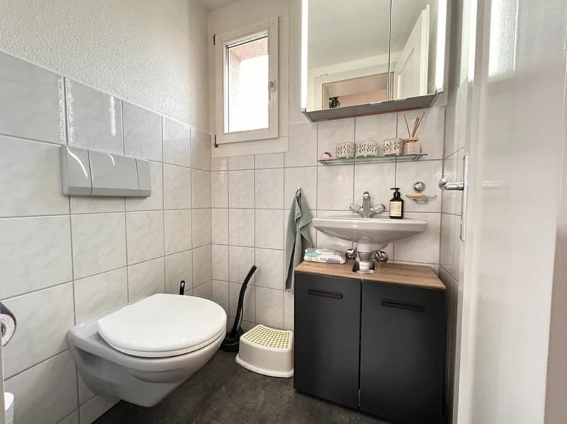 Row house in sunny hillside location with garage (8)