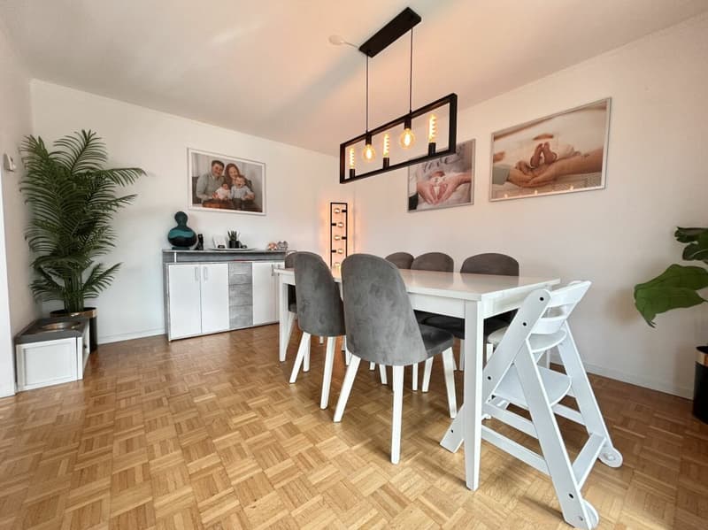 Row house in sunny hillside location with garage (3)