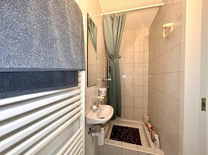 Row house in sunny hillside location with garage (10)