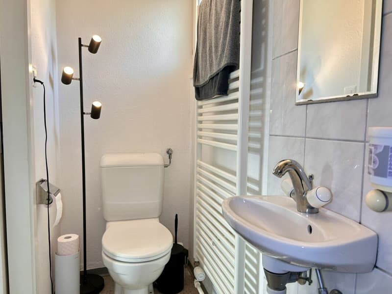 Row house in sunny hillside location with garage (9)