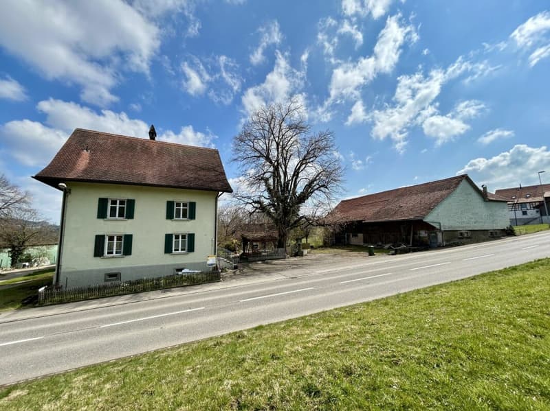 Zweifamilienhaus mit Scheune und Umschwung (21)