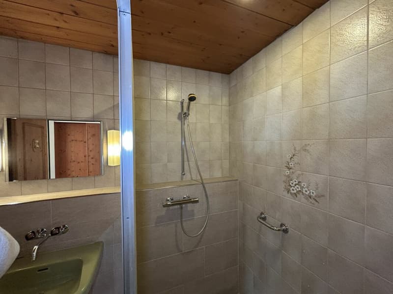 3.5 Zi-Ferienwohnung im Zentrum mit Ausbaupotential (7)