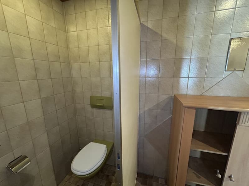 3.5 Zi-Ferienwohnung im Zentrum mit Ausbaupotential (9)