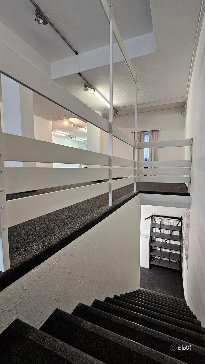 White railings, black carpet on floor, white ceiling with lights, black carpet on stairs, black floor on balcony