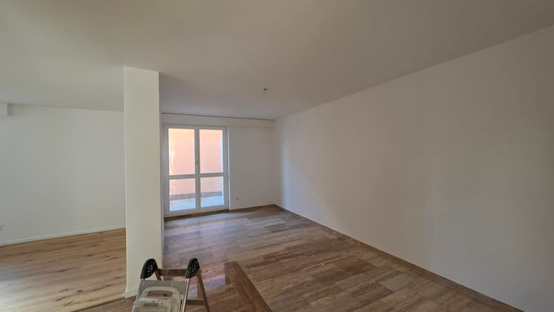 Ampio appartamento 2.5 locali 1° piano con balcone (6)