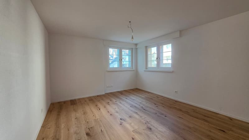 Ampio appartamento 2.5 locali 1° piano con balcone (8)