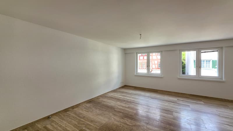 Ampio appartamento 2.5 locali 1° piano con balcone (4)