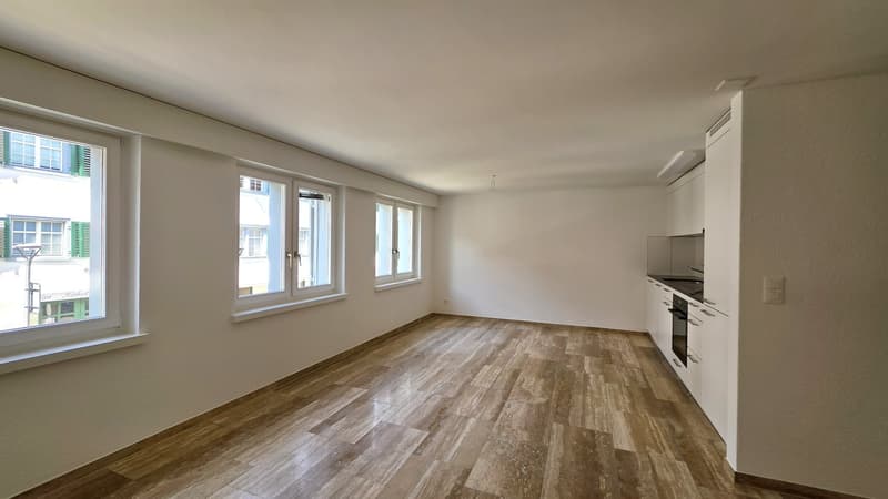 Ampio appartamento 2.5 locali 1° piano con balcone (3)