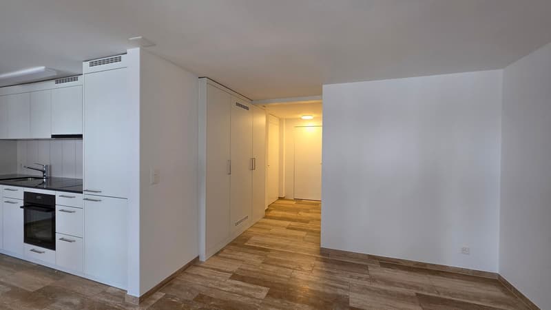 Ampio appartamento 2.5 locali 1° piano con balcone (5)