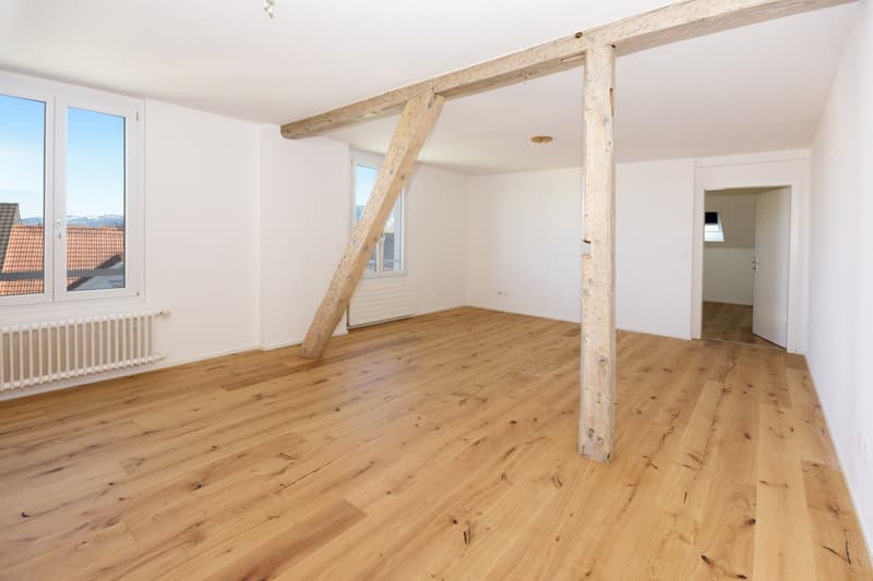 Cozy nearly new 3.5 room attic apartment 2nd floor (2)